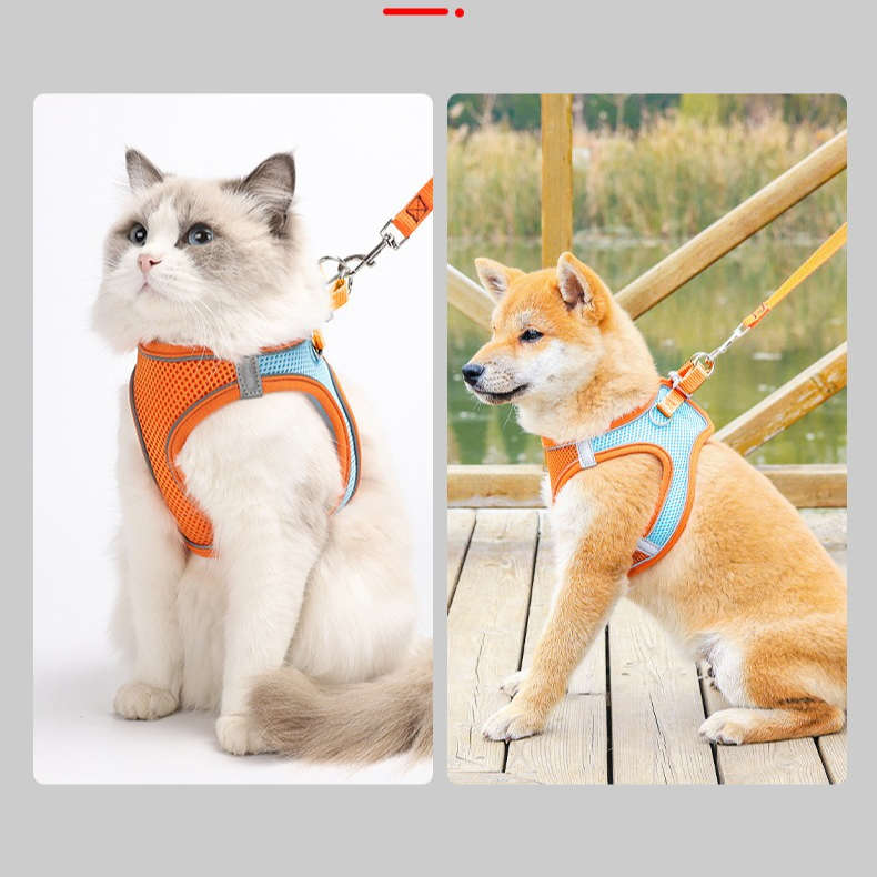 Breathable Reflective Pet Harness Set: Vest-Style Dog Harness + Leash - Pink and Blue-M