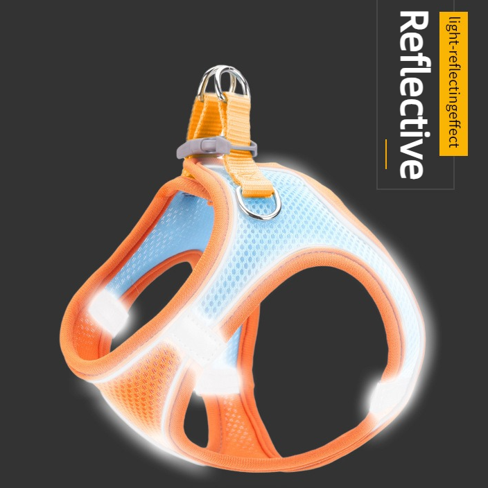 Breathable Reflective Pet Harness Set: Vest-Style Dog Harness + Leash - Blue-M