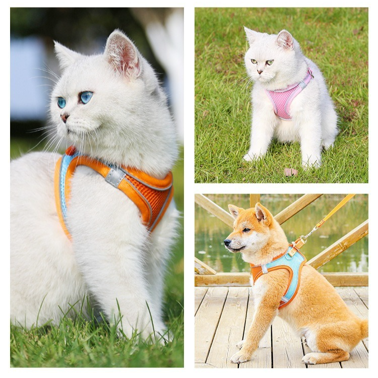 Breathable Reflective Pet Harness Set: Vest-Style Dog Harness + Leash - Blue-S