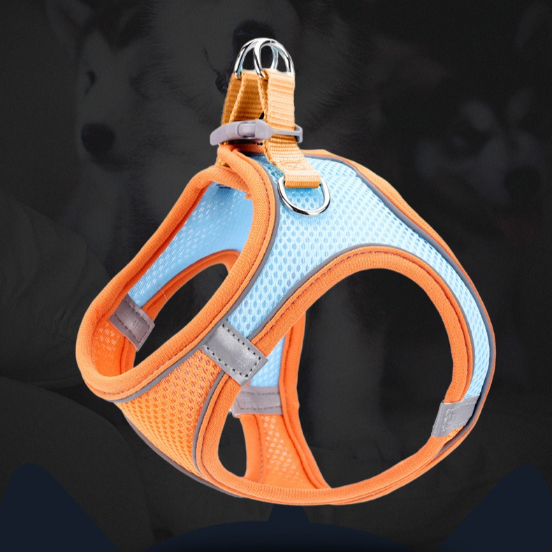 Breathable Reflective Pet Harness Set: Vest-Style Dog Harness + Leash - Blue-XXS